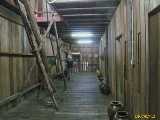 Click to see IMG_1460_lznc.jpg
