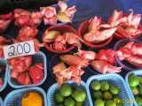 Click to see IMG_1565c.jpg