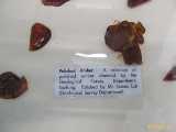 Click to see IMG_1591c.jpg