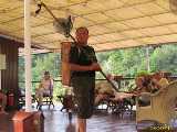 Click to see IMG_1787c.jpg