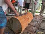 Click to see IMG_1810c.jpg