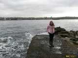 Click to see IMG_6195c.jpg