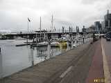 Click to see IMG_6256c.jpg