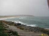 Click to see IMG_6260c.jpg