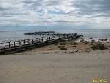 Click to see IMG_6393c.jpg