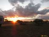 Click to see IMG_6498c.jpg