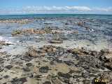 Click to see IMG_6572c.jpg