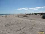 Click to see IMG_6575c.jpg