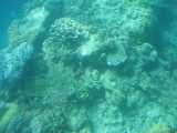 Click to see IMG_6707c.jpg