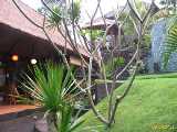 Click to see IMG_7036c.jpg