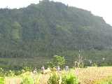 Click to see IMG_7049c.jpg
