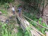 Click to see IMG_7519c.jpg