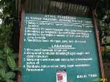 Click to see IMG_7527c.jpg
