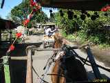 Click to see IMG_7598c.jpg