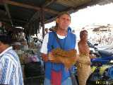Click to see IMG_7630c.jpg
