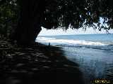 Click to see IMG_7661c.jpg