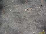 Click to see IMG_7663c.jpg