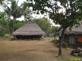Click to see IMG_7711c.jpg