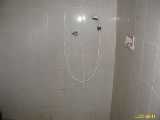 Click to see IMG_7804c.jpg