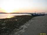Click to see IMG_7823c.jpg