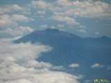 Click to see IMG_7922c.jpg