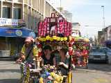 Click to see IMG_8003c.jpg