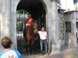 Click to see IMG_8113c.jpg