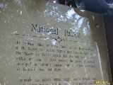 Click to see IMG_8120c.jpg