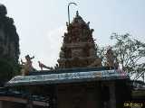 Click to see IMG_8162c.jpg