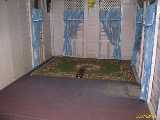 Click to see IMG_8225c.jpg