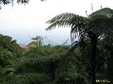 Click to see IMG_8278c.jpg