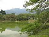 Click to see IMG_8289c.jpg