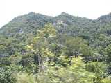 Click to see IMG_8449c.jpg