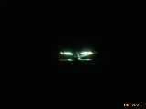Click to see IMG_8612c.jpg