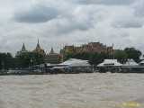 Click to see IMG_8685c.jpg