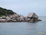 Click to see IMG_1835c.jpg