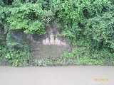 Click to see IMG_2211c.jpg
