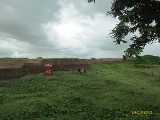 Click to see IMG_2261c.jpg