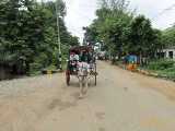 Click to see IMG_2360c.jpg