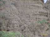 Click to see IMG_2544c.jpg
