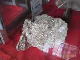 Click to see IMG_2599c.jpg