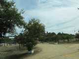 Click to see IMG_2806c.jpg