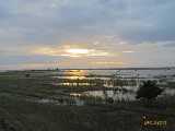 Click to see IMG_2983c.jpg