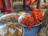 Click to see IMG_3197c.jpg