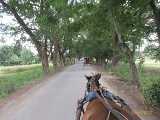 Click to see IMG_3298c.jpg