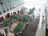 Click to see IMG_3412c.jpg