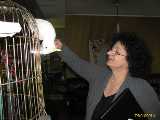 Click to see IMG_3777c.jpg