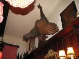 Click to see IMG_3813c.jpg