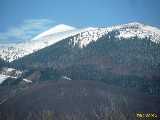 Click to see IMG_3824c.jpg