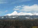Click to see IMG_3835c.jpg